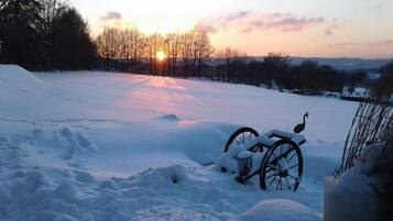 A snow-covered landscape with a wheelchair and a bird statue in the foreground, and a sunset in the background.