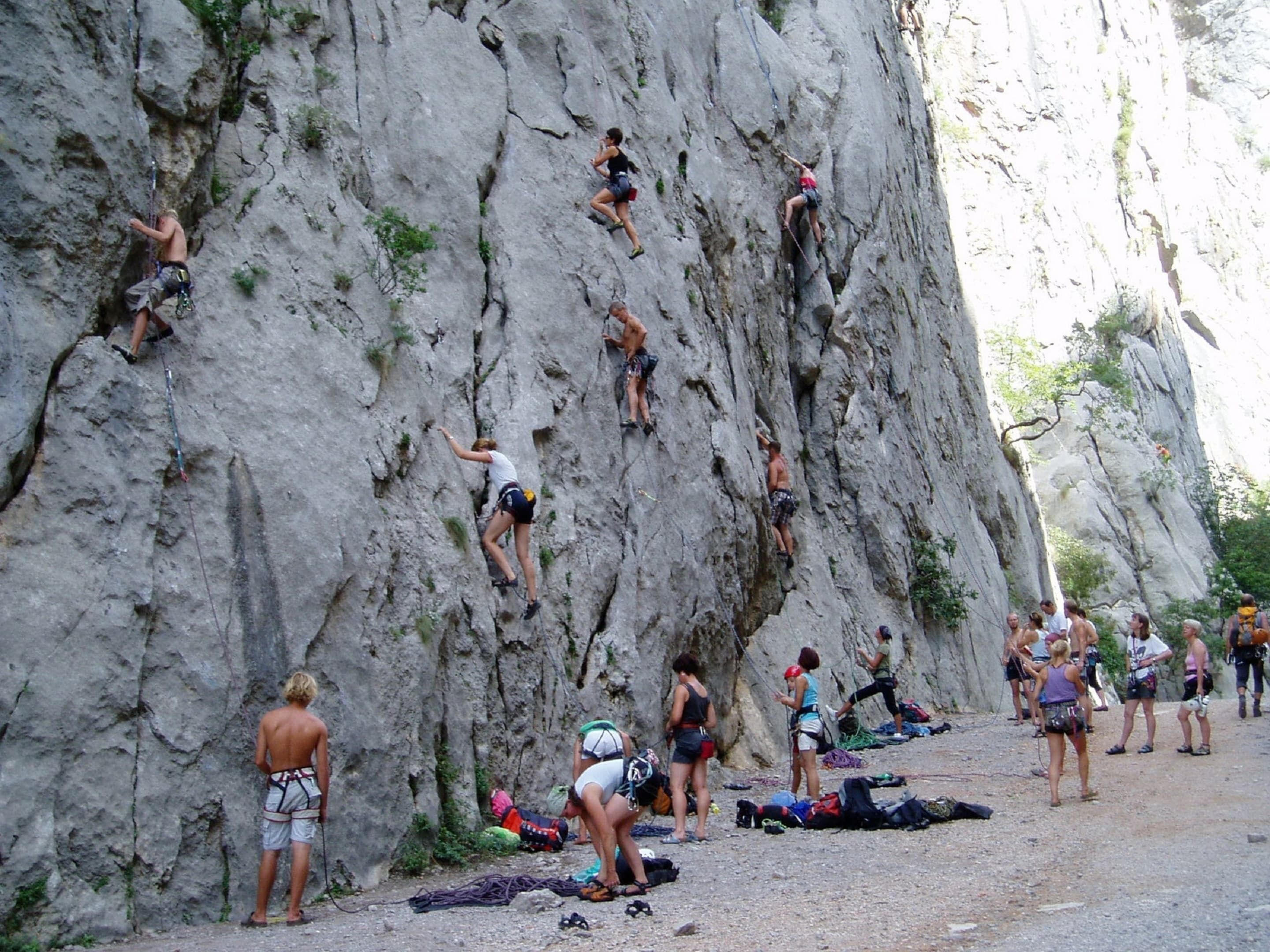 Un groupe de personnes pratiquait l’escalade sur une grande falaise.