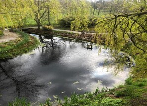 Casa | Vista desde la propiedad