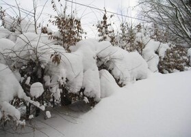 Apartment | View from property