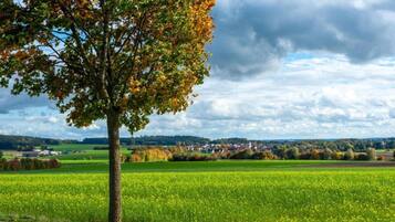 A tree in a field with a cloudy sky.