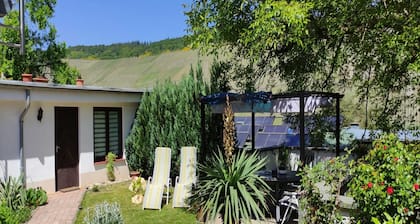 Apartment in Wehlen by Moselle Vineyards