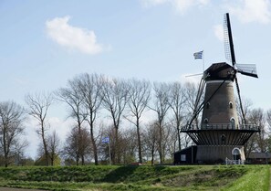 Hus | Utsikt fra overnattingsstedet