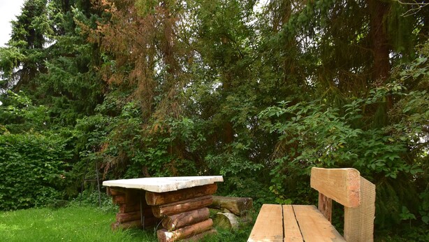Ein rustikales Holzbank- und Tischset in einem üppigen, grünen Garten mit dichtem Blattwerk im Hintergrund.