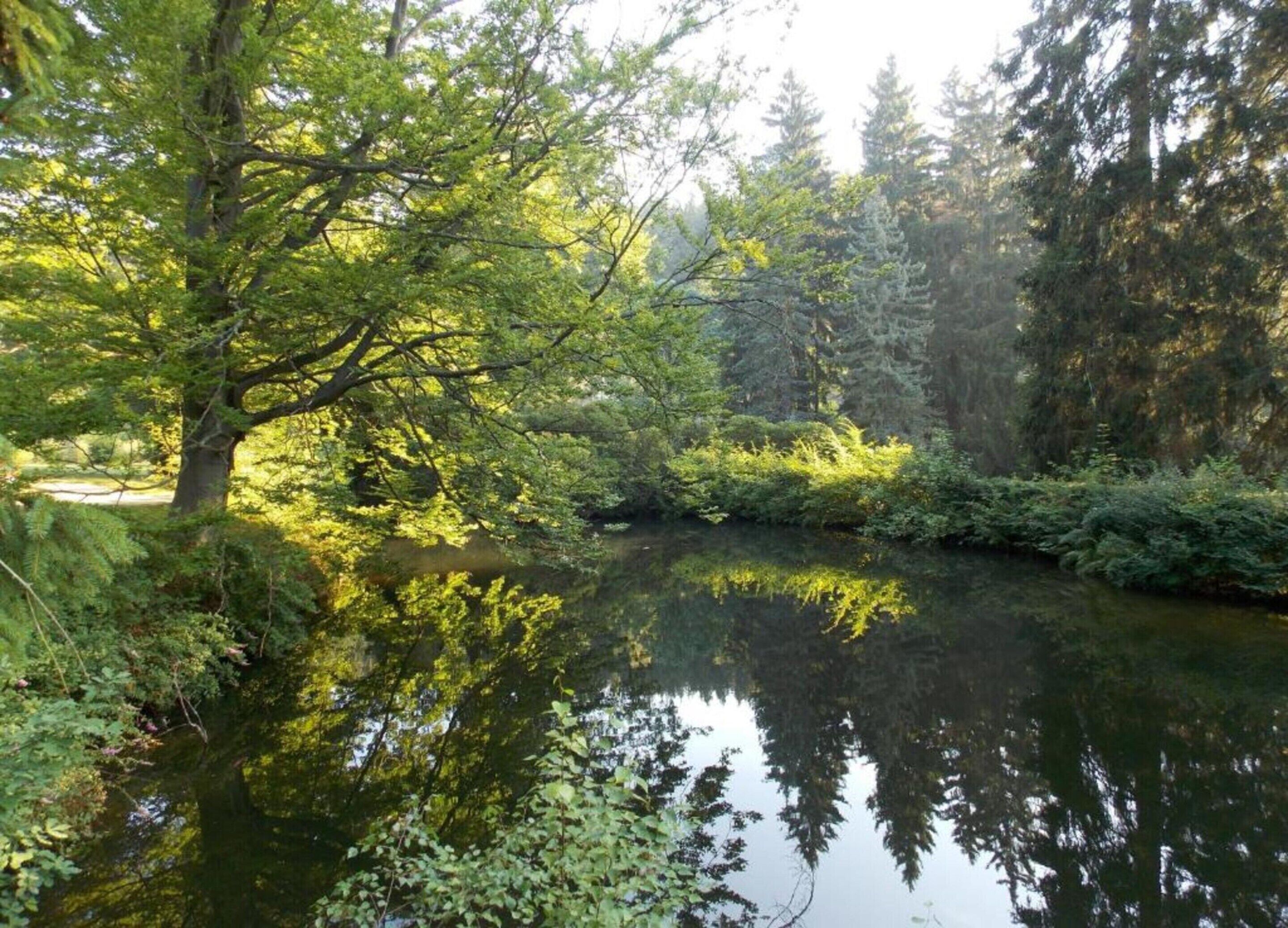 Un río tranquilo con abundante vegetación y árboles reflejándose en el agua.
