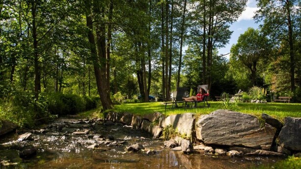 A natural outdoor setting with a stream, rocks, and greenery.