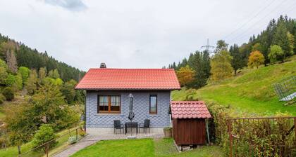 Quiet Home Near Vessertal