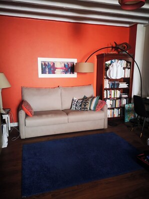 Télévision, cheminée, lecteur de DVD, livres