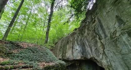 Wohnung in Bad Grund
