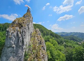 Lägenhet | Utsikt från boendet