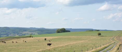 A rural landscape with a fenced field, a winding path, and distant hills.