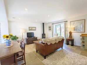 智能電視、壁爐、DVD 播放機