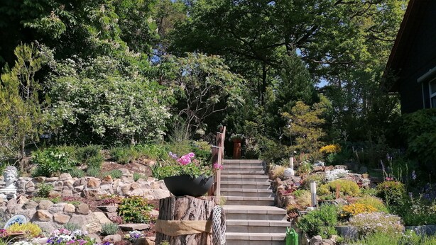 A stone staircase leading up to a wooden door, surrounded by a garden with various plants and flowers. - Spacious Apartment in Blankenburg Harz near Ski Area (Blankenburg)
