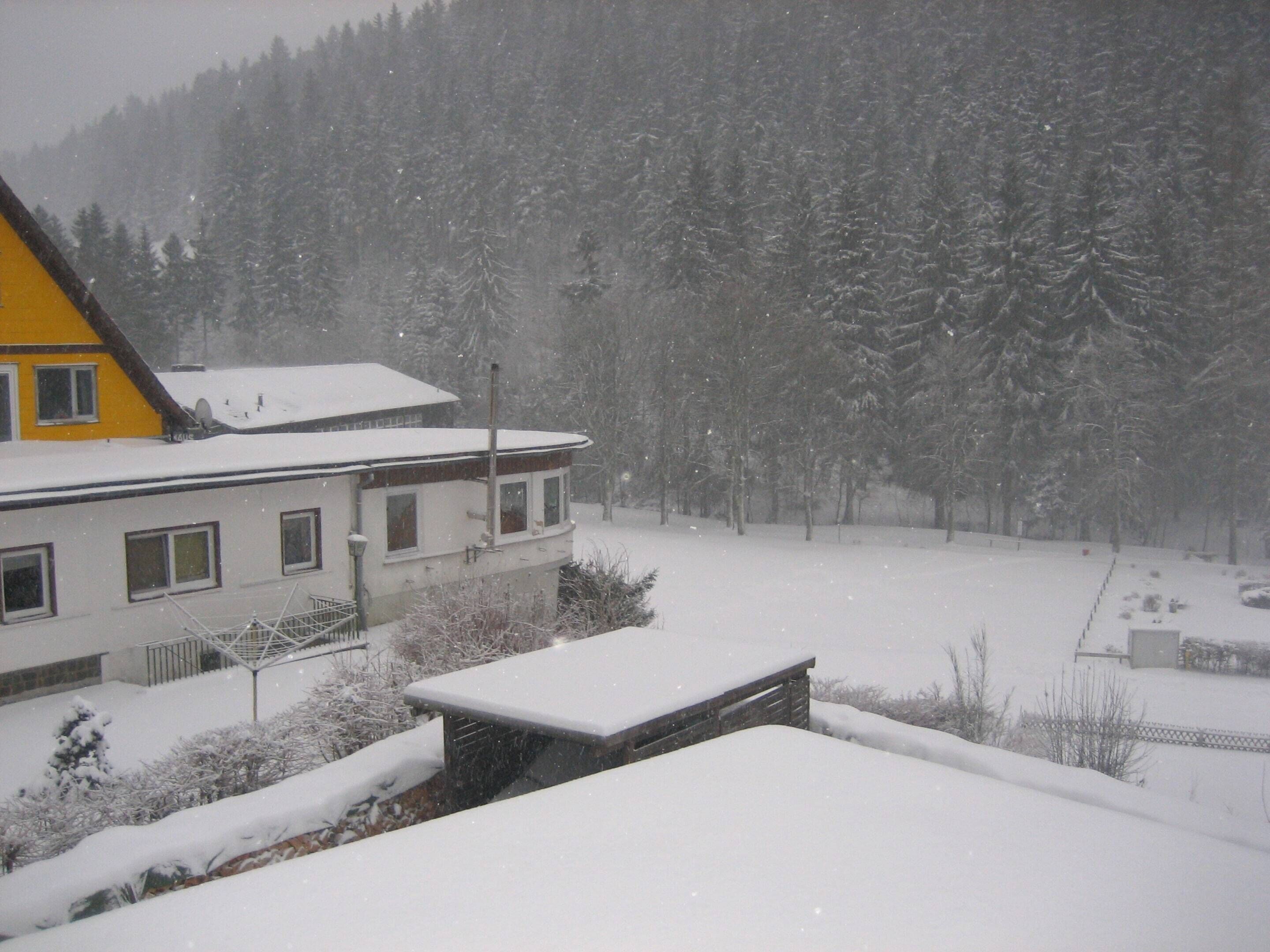 الإطلالة من المنشأة
