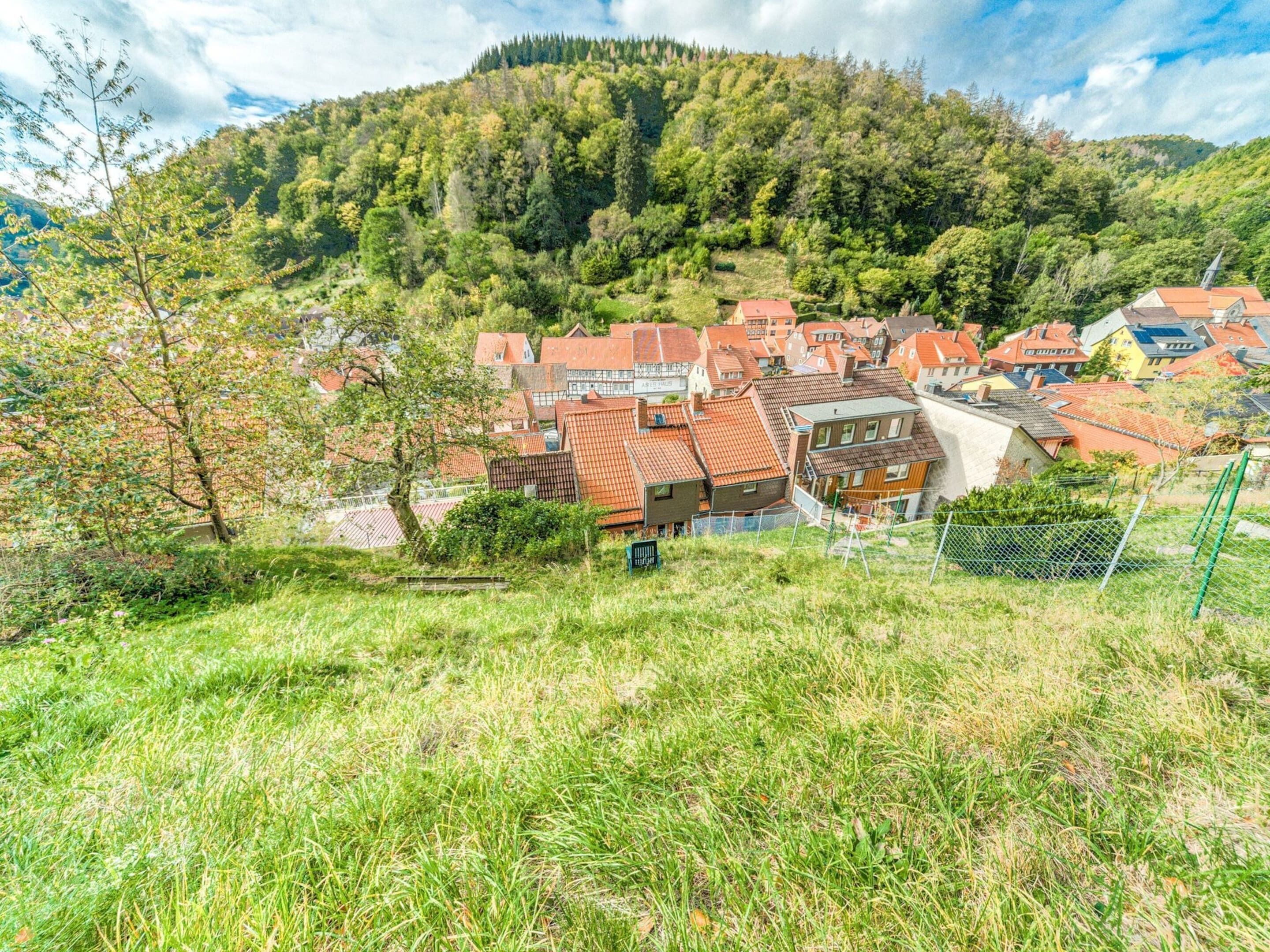 A hillside village with traditional red-roofed houses, a church steeple, and a dense forested hill in the background.