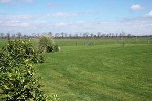 House | Garden - Holiday Home in Langweer With Infrared Sauna (Langweer)