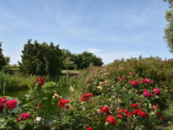 Ferienhaus | Blick von der Unterkunft