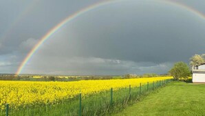 A field of yellow flowers with a rainbow and a cloudy sky. - Ferienzimmer in Kropelin (Kroepelin)