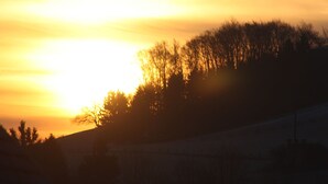Billede uden beskrivelse, 2 af 31, knap