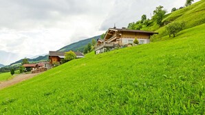 A hillside with a traditional chalet-style house with a balcony and a wooden cabin in the background. - Comfy Apartment in Hollersbach im Pinzgau near Lake (Hollersbach im Pinzgau)