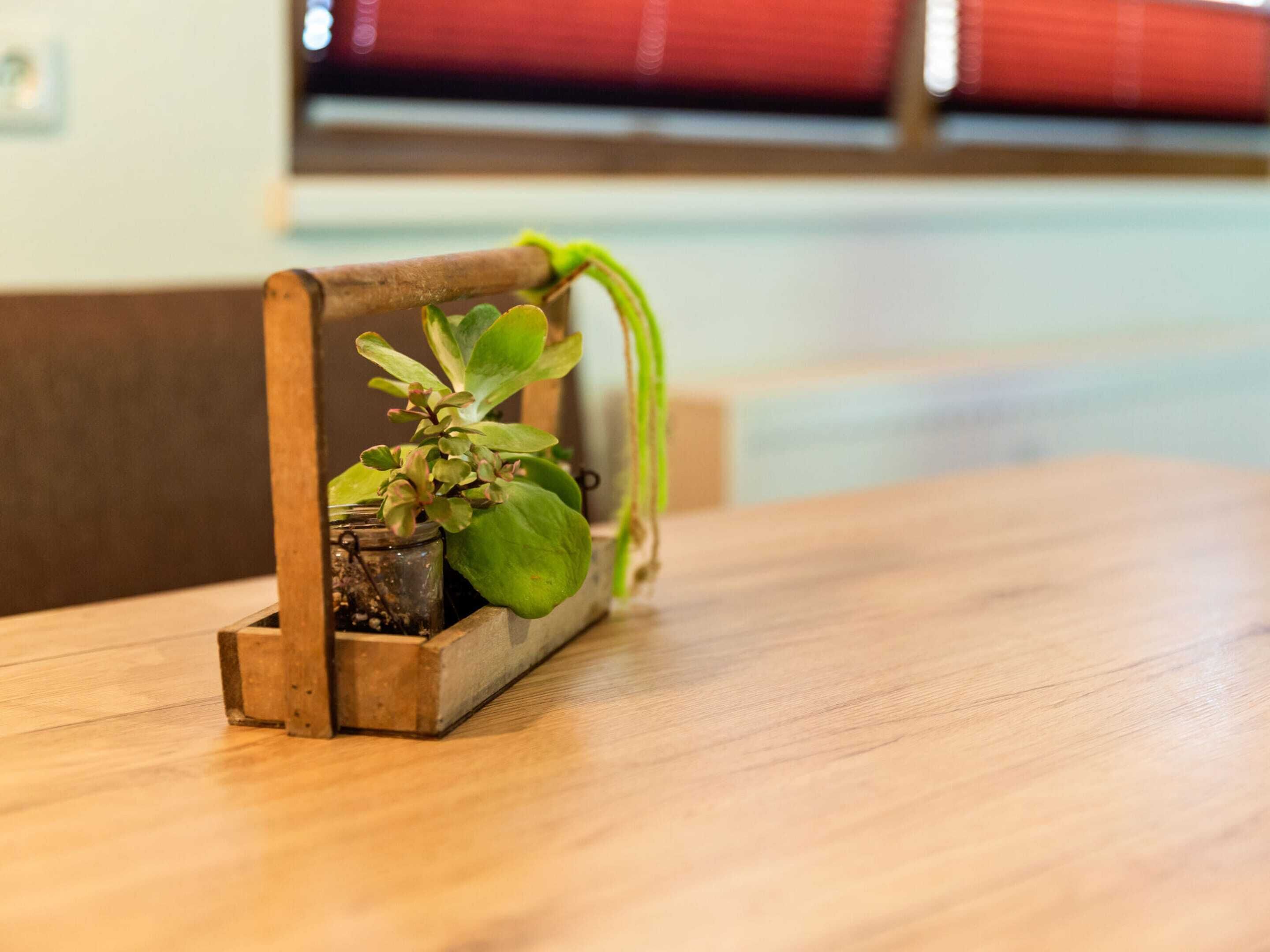 Un support à plantes en bois avec une plante en pot posée sur une table en bois.