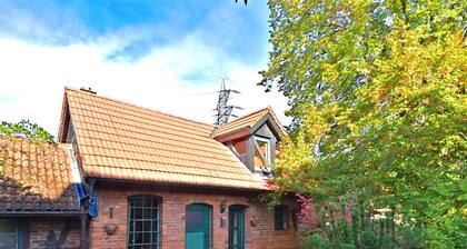 Modern Holiday Home in Bad Eilsen With Private Garden