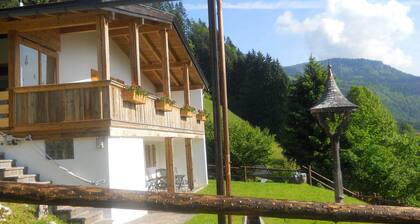 Cozy Chalet in Niederndorf bei Kufstein near Ski Area