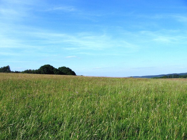 A vast open field with a clear sky. - Charming Holiday Home in Liebenscheid by Forest (Liebenscheid)