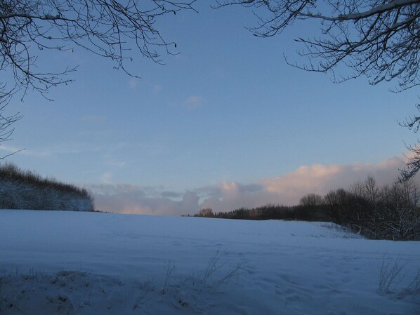 A snowy landscape with a clear sky and bare trees. - Charming Holiday Home in Liebenscheid by Forest (Liebenscheid)