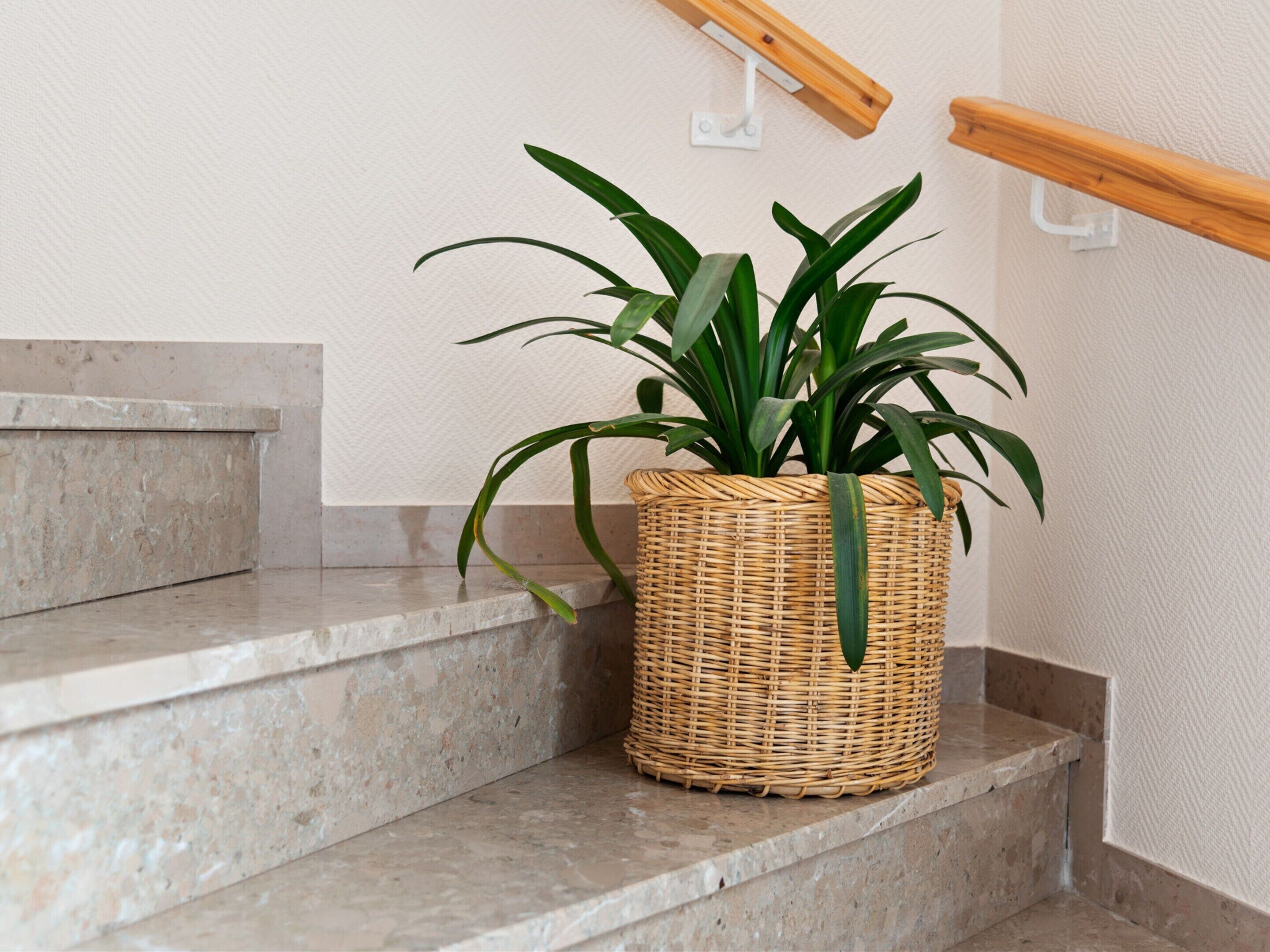 Căn hộ | Chi tiết nội thất