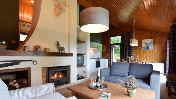 A cozy living room with a fireplace, a sofa, a coffee table, and a television. - Peaceful Holiday Home in Tenneville near Forest (Tenneville)