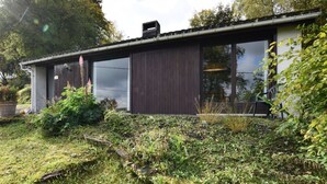 A modern house with a large glass door and windows, surrounded by a garden with various plants and a stone pathway. - Peaceful Holiday Home in Tenneville near Forest (Tenneville)