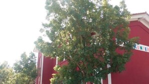 Exterior - Stunning Apartment in Groalmerode With Garden (Grossalmerode)