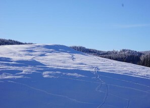 House | View from property