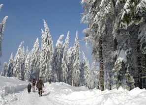 House | View from property