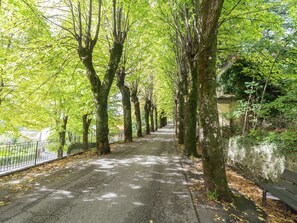 A tree-lined pathway with a bench on the right. - Secluded Chalet With Pool (San Marcello Piteglio)