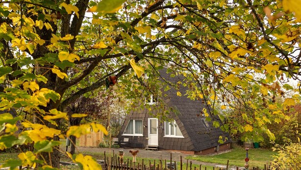 A house with a sloped roof, surrounded by a wooden fence and a garden. - Ferienhaus in Bestwig mit Privatem Garten (Bestwig)