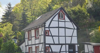 Welcoming Holiday Home in Schleiden near Forest