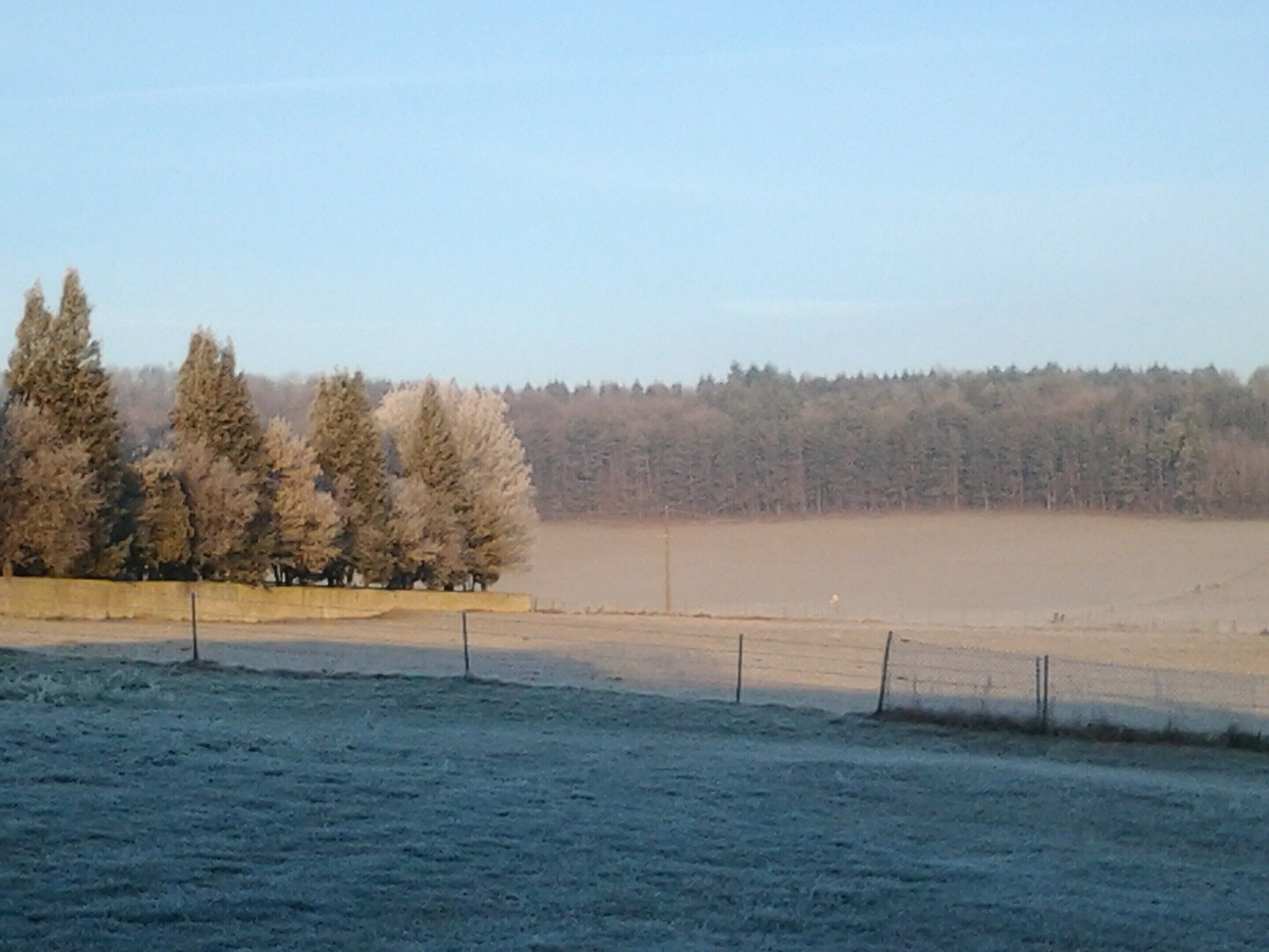 A snowy landscape with a fenced field and a line of trees.
