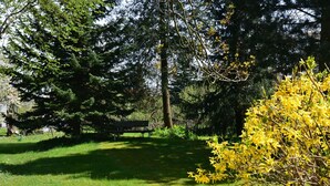 A park with a bench, green grass, and trees. - Wohnung in Tabarz Thuringen in Waldnahe (Tabarz)