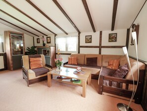 House | Living room | DVD player - Quaint Holiday Home in Elbingerode near Forest (Oberharz am Brocken)