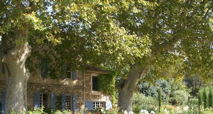 Beautiful Villa in Paradou With Swimming Pool