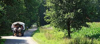 Holiday Home in a Beautiful Nature Reserve in Ruinerwold, for 2 People