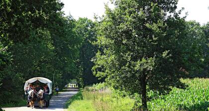 Holiday Home in a Beautiful Nature Reserve in Ruinerwold, for 2 People