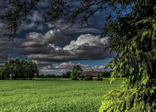الإطلالة من المنشأة