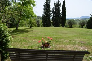 Garden - Villa With Garden and Splendid Panorama, Near the Coast (Santarcangelo di Romagna)