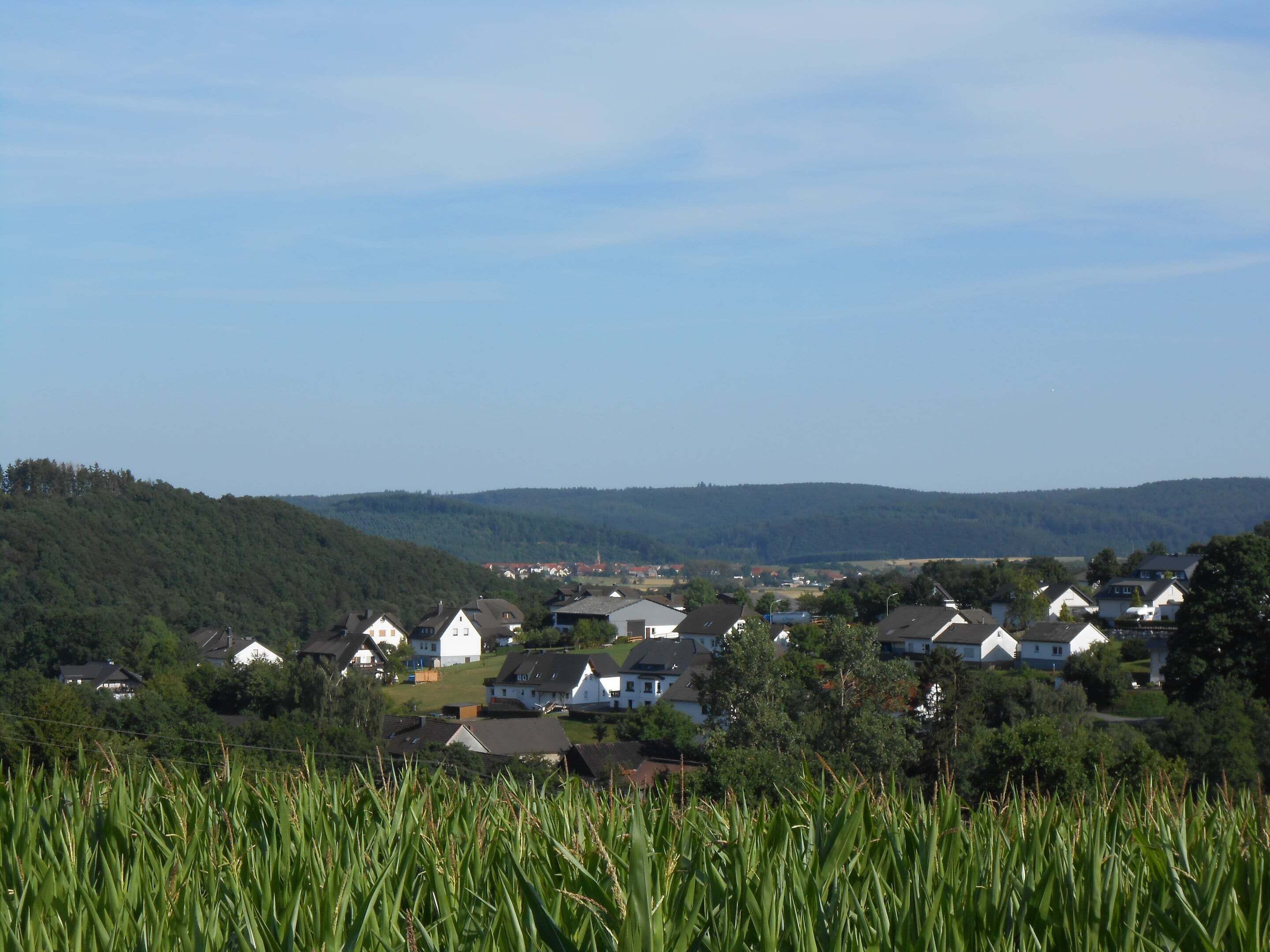 Un paysage rural avec des maisons, un champ cultivé et des collines en arrière-plan.