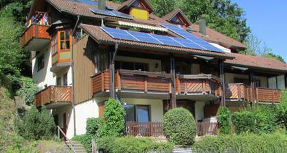 Ferienwohnung in Schiltach