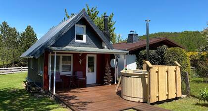 Enticing Holiday Home in Fischbach With Garden