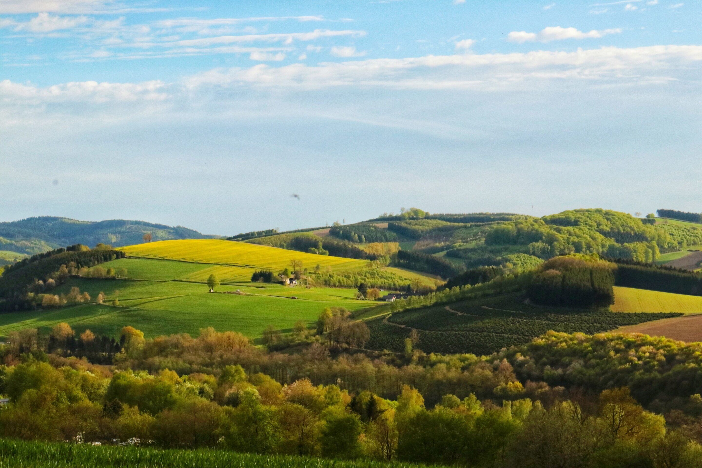 A panoramic view of rolling hills with fields and trees, likely a rural landscape.